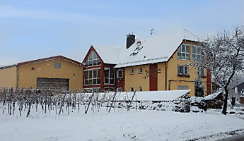 Das Weingut schneebedeckt