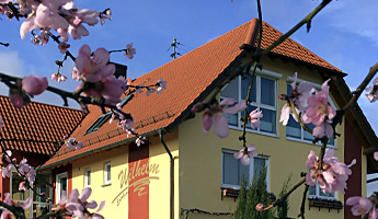 Mandelblüte März 2017