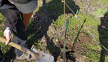Arbeiten im Weinberg