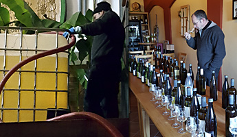 Arbeiten im Weinberg