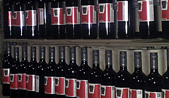 Arbeiten im Weinberg